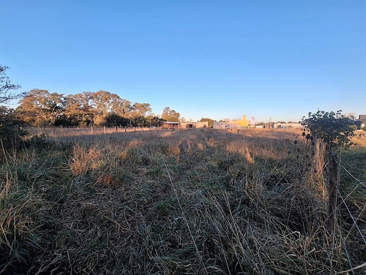 LOTE DE 1000m2, BARRIO EL MODELO.