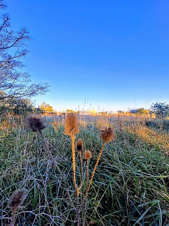 LOTE DE 1000m2, BARRIO EL MODELO.