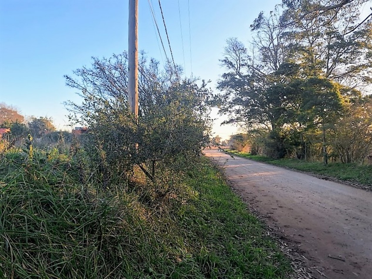 LOTE DE 1000m2, BARRIO EL MODELO.