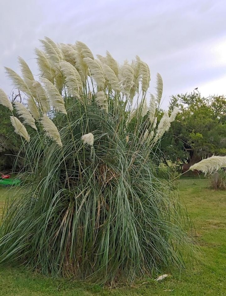 VENTA Chacra Laguna El Rosario
