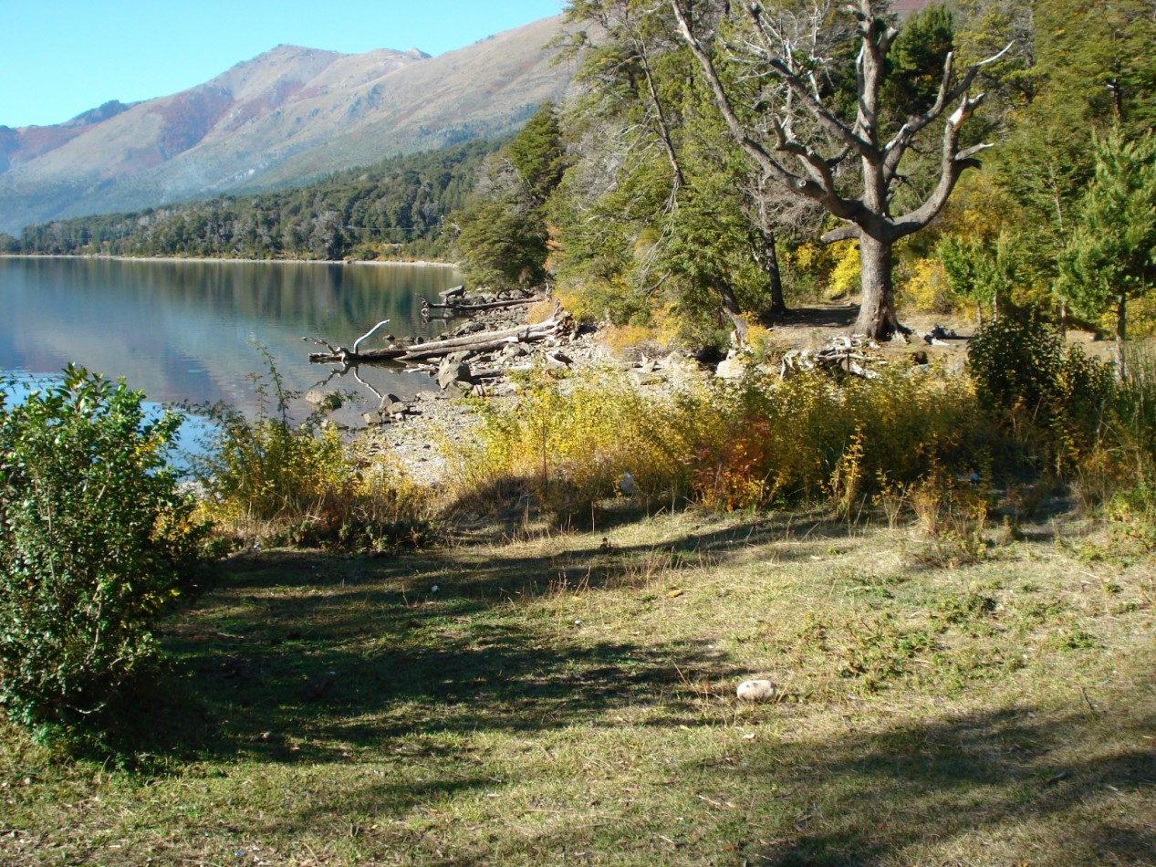 PARCELA SOBRE RUTA 40 CON COSTA DE LAGO GUTIERREZ