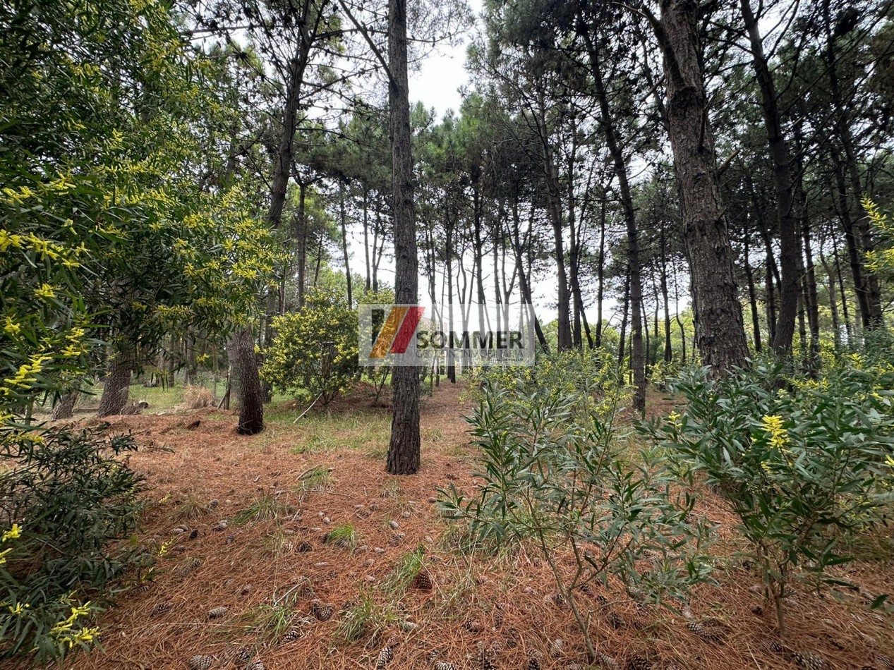 LOTE EN PINAMAR NORTE A UNA CUADRA DEL MAR !!!