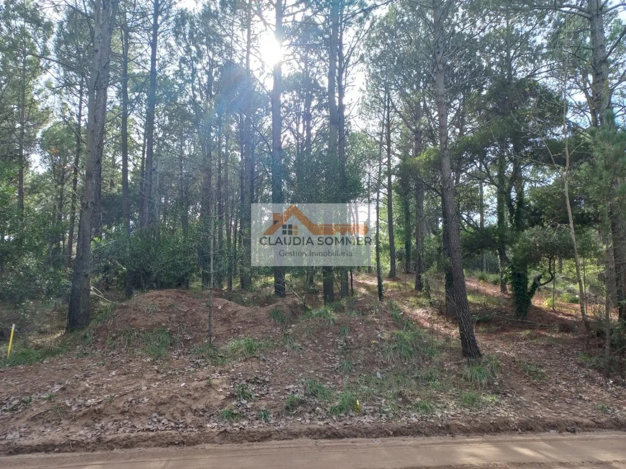 LOTE EN CARILO