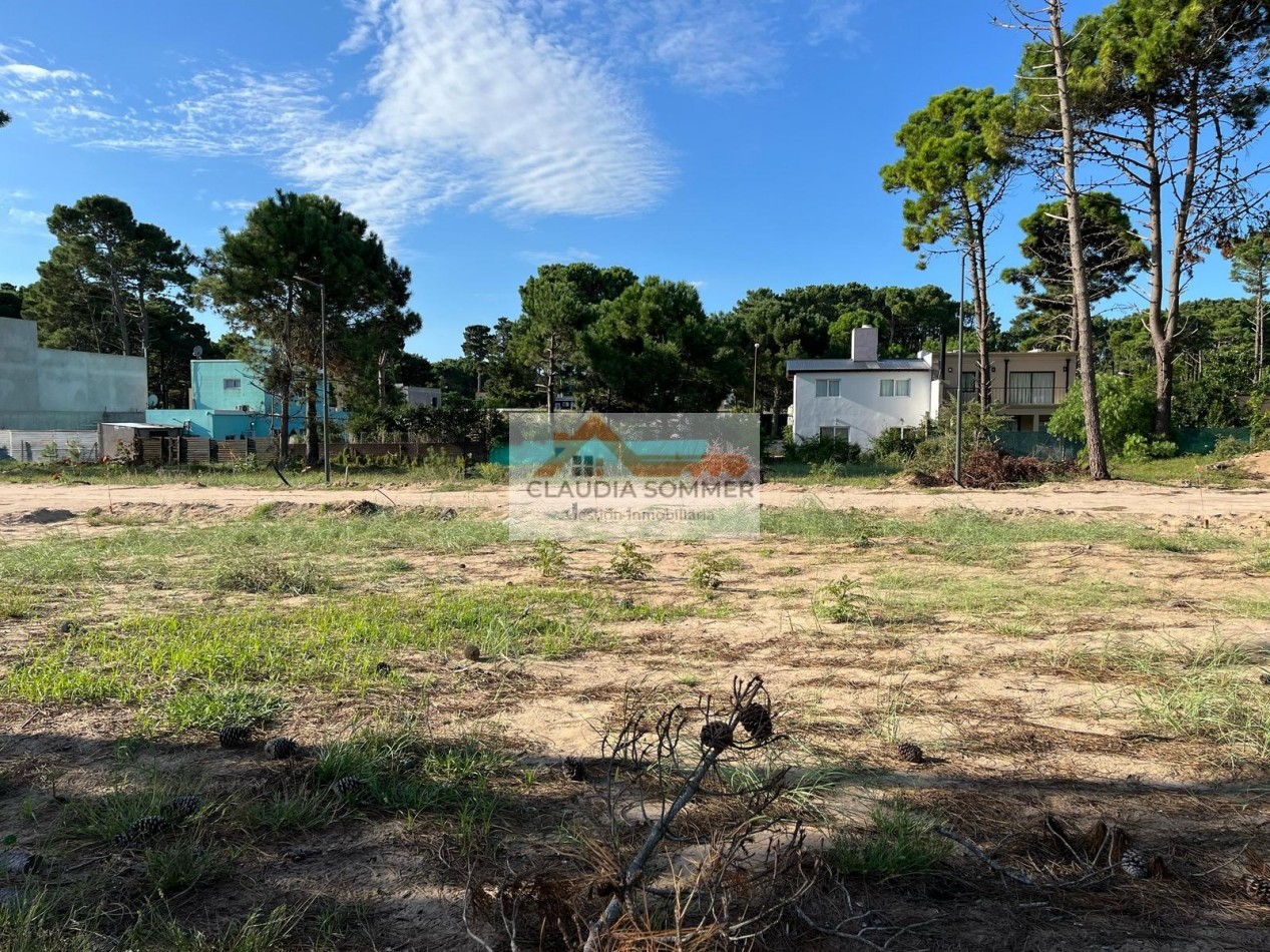 LOTE EN OPORTUNIDAD