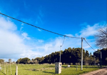 LOTE EN MADARIAGA
